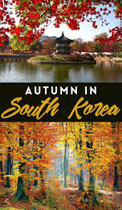 Autumn In South Korea 2019 The Country S Best Spots For Fall In One Amazing Road Trip Asia Travel South Korea Korea Travel