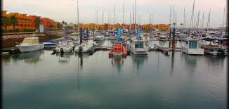 موقع برستيج | مسلسل الاختيار 2 | مسلسلات| الحلقة | مسلسل موسى | مسلسل نسل الاغراب | مسلسل عشرين عشرين | مسلسل ملوك الجدعنة | مسلسلات تركية 2021 | مسلسل. Ø¨ÙØ§Ø°Ø§ ØªØ´ØªÙØ± Ø§ÙØ¨Ø±ØªØºØ§Ù ÙÙØ¶ÙØ¹