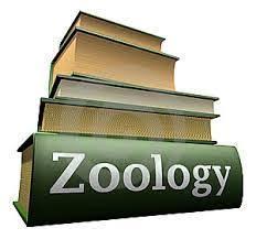 Image result for Zoology admission