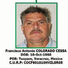 Fixed horse race details emerge in Zetas trial