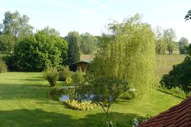 Alle häuser im siedlungsgebiet, industrielle und landwirtschaftliche gebäude, scheunen und vieles mehr. Weide Im Garten Anpflanzen Darauf Sollten Sie Achten