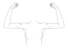 900 x 1527 jpeg 345 кб. How To Draw Anime Manga Tutorials Animeoutline