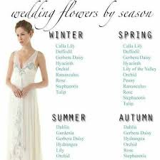 Check spelling or type a new query. Thrifty Bride Custom Floral Designs Nz Home Facebook