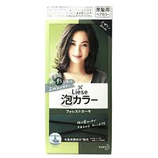 A complete hair coloring kit for soft, brown hair right inside the privacy of your own bathroom. Kao Liese Prettia Bubble Hair Color Forest Khaki 4901301375544 Ebay