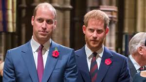 Prinz harry und meghan stilisieren sich im interview mit oprah winfrey als opfer des königshauses. Prince William And Prince Harry When And Where To Meet Again Archyde