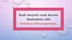 Download faktor yang mempengaruhi pertumbuhan mikroorganisme.pdf. Sains Tahun 6 Faktor Pertumbuhan Mikroorganisma Youtube