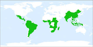 Image result for Pseudechinolaena polystachya