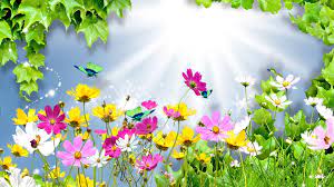 Summer Of Animation Wallpapers Other Animated Summer Flowers Cartoon Flowers Flower Wallpaper Flower Pictures