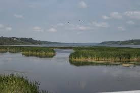 Rock Lake - Solomon Creek Wildland Provincial Park