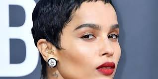 Ces 10 Plantes D Interieur Tellement Dingues Qu Elles Semblent Venues D Ailleurs En 2020 Produits De Beaute Naturels Perte De Cheveux Recette Originale Et Facile