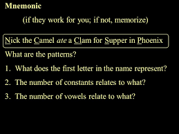 How to remember your polyatomic ions nick the camel ate a clam for supper in pheonix underlined letter represents the symbol of the element the consonants represent the number of oxygen atoms that are present in the polyatomic ion the vowels represent the negative charge names end. Polyatomic Ions Many Ions Are Monoatomic But Ppt Video Online Download