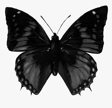 Aesthetic pastel vintage background aesthetic wallpaper nature pink pastel background aesthetic beach abstract retro dark wallpaper plant 4k wallpaper. Butterfly Dark Tumblr Butterfly Black Hd Png Download Kindpng