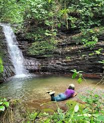 Castleton Gardens — Blog — Nature's Sweet Escapes