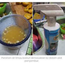 Lepas itu, ambik balik lidi sebatang tadi. Petua Hilangkan Bau Tahi Kucing Dan Elak Kucing Berak Merata Rata