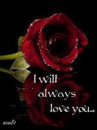 Check spelling or type a new query. Pin On Rose