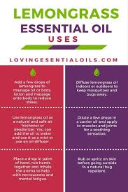 Lemongrass Essential Oil Uses Benefits And Recipes Eo Spotlight Lemongrass Essential Oil Uses Essential Oil Uses Lemongrass Essential Oil