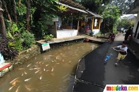 Kolam ikan ini juga nggak perlu tempat yang luas, kamu punya halaman rumah yang sempit bisa membuatnya seperti ini. Foto Ini Selokan Air Yang Diubah Jadi Kolam Ikan Oleh Warga Di Bogor Merdeka Com