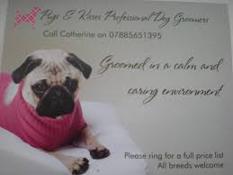 Just like all of us, they feel good when they look good. All Paws Pet Grooming Training Centre Home Facebook