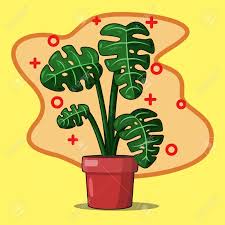 Maybe you would like to learn more about one of these? Simple Dragon Tail Plant Design Simple Design Of Monstera Deliciousa In Eps 10 For Decoration Print Illustration Of Aesthetic Room Decoration Royalty Free Cliparts Vectors And Stock Illustration Image 152227605