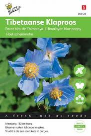 It is native to eastern tibet, eastern nepal to india and bhutan. Himalayan Blue Poppy Meconopsis Seeds Seeds Tuinzaden Eu