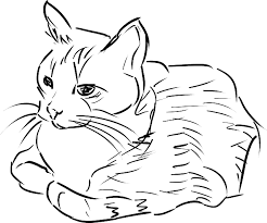 How to draw kartun kucing. Cat Feline Animal Free Vector Graphic On Pixabay
