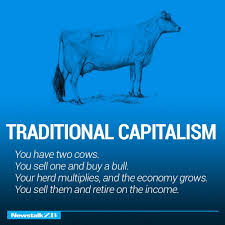 News Talk Zb You Have 2 Cows Example Of Traditional Capitalism You Have Two Cows Corporate Cow