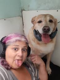 Dog training requires effort from both dog and owner