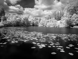 Etsy uses cookies and similar technologies to give you a better experience, enabling things like: How To Shoot Infrared Photography With Minimal Equipment