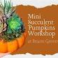 'Lil Succulent Pumpkins Workshop at Bearss Groves event image