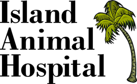 Faithful pets cremation & burial care po box 227 abington, va 24212 phone: Island Pet Hospital Venice Pet Hospital Island Animal Clinic Island Animal Hospital