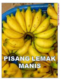 Antara masakan yang menggunakan pisang susu ialah kek pisang dan lempeng pisang. Anak Pisang Lemak Manis Shopee Malaysia