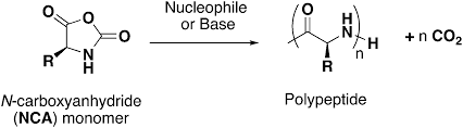 Kangava k., fukuda a., kubota i. Secondary Structures Of Synthetic Polypeptide Polymers Polymer Chemistry Rsc Publishing