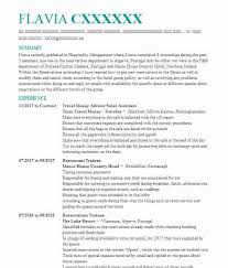 Hotel management resume example ✓ complete guide ✓ create a perfect resume in a position in hotel management gives you the best of the hospitality industry: 1479 Hotels Cv Examples Travel And Hospitality Cvs Livecareer