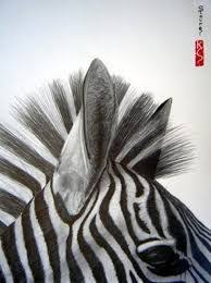 Image Result For Close Up Drawing Of Animals Zebra Art Close Up Art Zebra