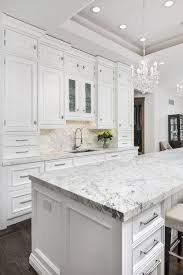 Portfolio Of Custom Kitchens And Renovation Projects In 2020 Kitchen Design Elegant Kitchen Design Interior Design Kitchen