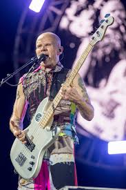 See more ideas about anthony kiedis, anthony kiedis young, anthony. Flea Musiker Wikipedia