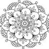Are so beautiful because of the many color combinations you can use and the forms they can take.&lt;br. Https Encrypted Tbn0 Gstatic Com Images Q Tbn And9gctatkii1jr6apeo3dksyqnkuamul5eazpuea16qcpu 9js5mjg Usqp Cau