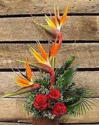 Order online for rocky mountain house flower delivery with florist.ca same we feature well over 500 beautiful, unique bouquets and flower arrangements designed by the best rocky mountain house florists. Florists Flower Shops In Rocky Mountain House Ab Yellowpages Ca