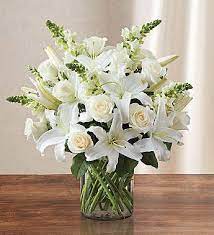 White connotes freshness, peace, tranquility and style, and this beautiful bouquet carries all those attributes in a nice white vase. Classic All White Arrangement 1800flowers Com 90303