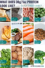 Portion Control What Does 30g Protein Look Like Charts