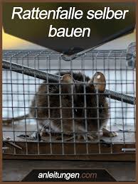 Rattenfalle Selber Bauen Die Meisten Im Handel Erhaltlichen Rattenfallen Qualen Oder Toten Die Nager Deshalb Selber Bauen Selber Bauen Anleitung Anleitungen