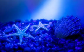 Gambar bintang format png paling keren download now bintang 2 ikon g. Blue Other Nature Background Wallpapers On Desktop Nexus Image 2147974 Nature Wallpaper Star Wallpaper Wallpaper
