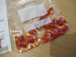 What is dna's primary function? Ribosomes Dna Rna Mrna Trna Functions Protein Synthesis In Cytoplasm Double Helix Structure Paired Bases A T C G Nucleotides Sugar Phosphate Polymer Translation Decoding Triplet Base Codes Adenine Cytosine Guanine Thymine A T C G