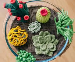 Do you accidentally kill your real plants? Crochet Cactus Pattern Archives Crochet Kingdom 7 Free Crochet Patterns