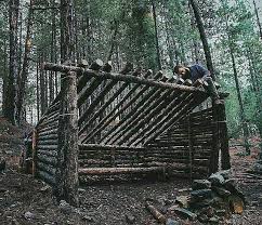 Bushcraft Shelter In The Making Only Dead Trees Used Do You Like These Kinda Shelters Outdoorsurvivalge Bushcraft Shelter Camping Survival Outdoor Survival