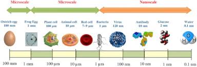 Cancer council sensitive + zinc sunscreen provides broad spectrum uva/uvb spf50 protection in a dermatologically tested formula. Source Effect And Risk Assessment Of Nanoparticles With Special Reference To Occupational Exposure Sciencedirect