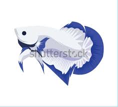 Blue Rim Stock For Logo In 2020 Vector Design Betta Vector Logo