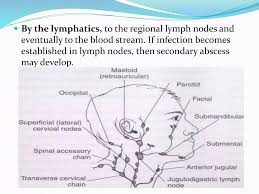 Image result for phlegmon on face)