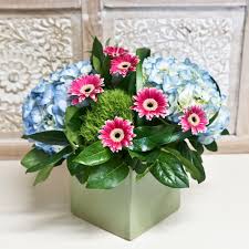 Order your san diego flowers online with floom, and the local independent florist fulfilling your order will ensure they are hand delivered to your chosen recipient. Sky Blue By Wholesale Flowers