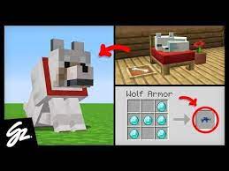 8 Pet Ideas That Should Be In Minecraft Youtube Minecraft Designs Minecraft Houses Minecraft Crafts